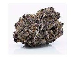 Buy Blackberry Cannabis Strain EU Online
