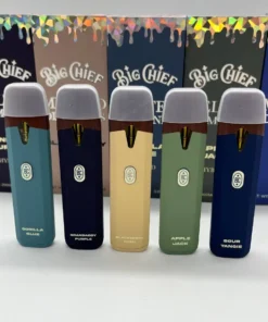 big chief disposable